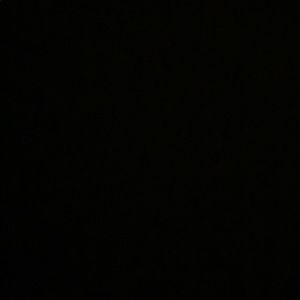 Meet your Posher, Willow